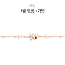 OST [주문제작] 1월 가넷 별꽃 반지 OTB117710B