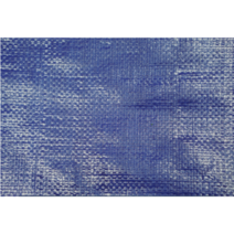 WNI 방수포 캠핑 그라운드시트 양면코팅, 5m  x  10m, 청색