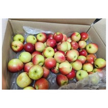 손안에 쏙 미니사과 루비에스 간식용 영천 꼬마 사과 [원산지:국산(경상북도 영천시)], 1개, 1kg