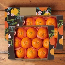 (롯데백화점)제주 레드향 2.6kg 10-14과 x 2박스 과일선물세트