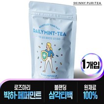 스키니퓨리티 데일리민트티 30티백 x 1개입, 단품