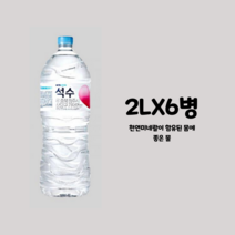 진로석수2L 6페트 몸에좋은생수 미네랄 천연 광천수