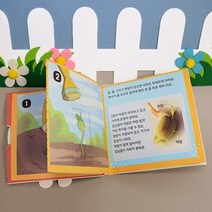어린이 미술 과학 유치원 교재 교구 북아트 강낭콩의 한살이 장난감 완구 공예 키덜트