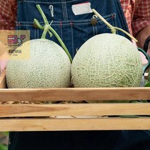 영화청과_특급_멜론__2kg_가격_허니듀_머스크_시세__곡성_양구_고창_청양_진주_논산_시세_농장_나무_공동 8D25, 상세페이지 참조