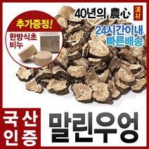 자애인 국산 말린 우엉 250g 볶지 않은 우엉의 맛 경북영천, 단품