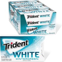 Trident 트라이던트 무설탕 윈터그린 16개입 9팩