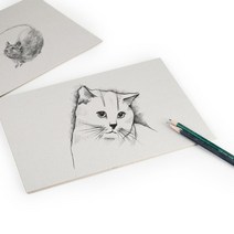 두께큰 회색 종이 카드 하드 인테리어 우수한품질 켄트지 우드락, T09-4오픈 크기 3.0밀리미터 회반죽