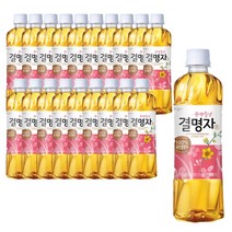 웅진 광명찾은 결명자차 500ml X 20개