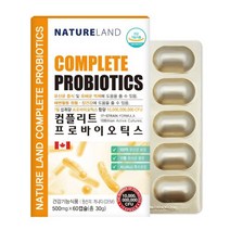 식약처인증 혈당유산균 프로바이오틱스 락토바실러스 플란타럼 hac01 복합물 당케어 장관리 프락토올리고당 100억유산균 마이크로바이옴, 1