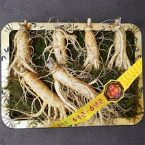 [풍기인삼] 6년근 수삼선물세트 750g, 선물세트(왕대) 750g(5~6뿌리)x1세트
