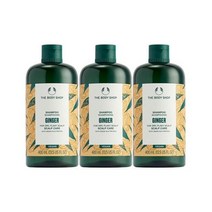 더바디샵 진저 스캘프 케어 샴푸 400ML 2+1 세트, 1개