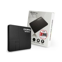 COLORFUL SL500 1TB 디앤디컴, 1
