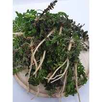 노지 냉이 500g 자연산 세척냉이