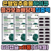 대용량 두뇌건강 포스파티딜세린 징코 레시친 식약처인증 플라보놀배당체 은행잎추출물 아세로라 깜박깜박 밀납 대두레시틴 포스타딜 포스타 티딜 세린 기억력 뇌활성화 주의력 50대 60대 70대 남성 여성