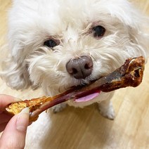 멍멍샵샵 애견 강아지 개 음식 영양식 수제 간식 양도가니, 5p(총 5p), 대형 1팩