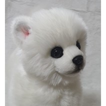 [실물같은 강아지 인형] 곰돌이컷 포메라니안