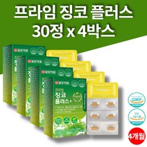 GINKO 징코 플러스 맥스 은행엽 은행추출물 직장인 수험생 공시생 영양제 영지버섯 흑마늘 울금 농축 추출물 분말 비타민비군 철 판토텐산 4박스 4개월