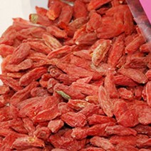 말린 건구기자 500g 마른 구기자나무 열매 구기자차