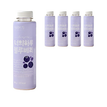 팜79 너의하루 블루베리 가루 5p, 1개, 250g
