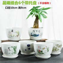 도자기 접시 화분 있음 트레이 팬시 고기 식물 그린 뤄 심플 블루 가정용 소다육 1663842512, 아침 햇살 6개 있음 트레이
