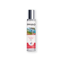 프랑스 명품 차량용 방향제 이마오 imao perfums 스프레이 30ml 카프리향