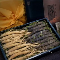 자연산 더덕 국내산 강원도 횡성 수삼 인삼 생삼 뿌리 담금주 인삼주 토종더덕 건강선물세트 인삼주담그는법 수삼먹는방법, 2박스, 수삼 100g 더덕 200g