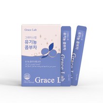 그레이스랩 유기농 콤부차 5g, 2박스(60포) - 5%추가할인, 2개, 30개입