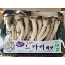 야채왕 무농약 느타리 참타리 버섯 200g 1팩 3팩 5팩 10팩 1박스, 느타리5팩