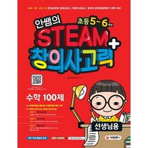안쌤의 STEAM+ 창의사고력 수학 100제 초등 5~6학년(선생님용):교육청 대학 과학고 부설 영재교육원 영재성검사 완벽 대비, 시대교육
