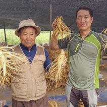 풍기인삼난발삼 가성비 좋은 상품 리스트