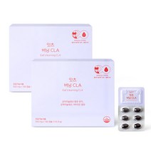 네츄럴굿띵스 잇츠 버닝 CLA 공액리놀레산 감마리놀렌산 다이어트 560mg x 180캡슐, 2박스 (2개월분), 2개, 180정