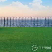 그린세상 국내생산 방염 무독성 인조잔디 낮은잔디 테라스 정원 마당 옥상조경 베란다 실내실외 강아지애견 롤매트 인공잔디 잔디카페트, N1900 방염, 고정폭1M x 길이100cm