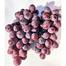 솜사탕맛 캔디포도 스윗글로브 고당도 포도, 800g*2팩, 2개