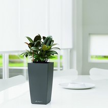 독일 레츄자 맥시 큐비코 플라스틱 화분, 그레이(무광)