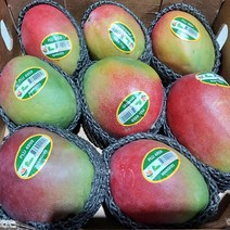[명가] 프리미엄 특품 애플망고 태국망고 골드망고 선물세트 항공직송 망고 1kg 2kg 3kg 4kg, 07.골드망고 특품 3kg, 1개