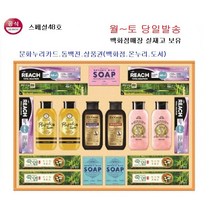 엘지생활건강스페셜48호.명절배송무료(1/27 오전까지 주문건), 4개이상, 1개