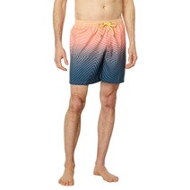 Quiksilver 남성 표준 에브리데이 워프 로고 17 발리 수영 트렁크 보드쇼츠 스노클 블루 5479235846, Medium