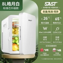 미니 냉장고 20L 냉동 온도 조절 원룸 사무실 냉장고 화장품 차량용, [8L] 화이트 플러스 (차량용 소형냉장고)