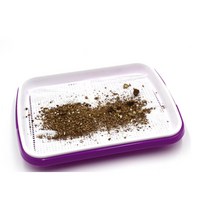 어린이 체험학습용 새싹재배기 꽃키우기 원예새싹키트