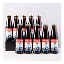 [로트벡쉔] 바이탈 아이젠 10병[약5개월분]-철분 비타민C 비타민D 비타민B, 상세 설명 참조, 상세 설명 참조