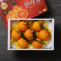 [빛과나무] [퀵/서울전역]자연속 빛가득 제주한라봉세트 3kg(6-8입), 상세 설명 참조