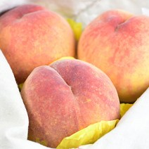산지직송 [팜쿡] 의성 딱딱이 복숭아 4kg 중 16-19과, 단품없음