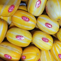 가정용 실속 참외 3KG 5KG 10KG 랜덤과 못난이 참외 반품불가 최저가상품, 1박스, (가정용랜덤과)3kg