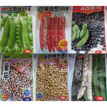 2023년 완두콩 씨앗 (스파클완두콩 50g 메리트강낭콩 30g 서리태(속청)30g 율두30g 매주콩50g 작두콩 10립 팥30g 땅콩 30g ), 대찬메주콩50g