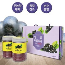 일등농장 아로니아 분말(200g X 2EA), 2Ea, 200g