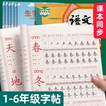 일일 중국어 연습 한문 한자 연습 카피북 서예348754 L6, 6학년 책348754 L6