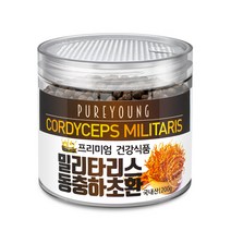 퓨어영 국산 밀리타리스 동충하초환 200g, 1통