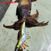 새우소프트 다리 나무 새우 루어/오징어 후크, IU264-75mm