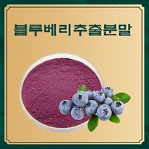 지구본상점/블루베리추출분말 50g 샘플, 지구본상점 1, 지구본상점 본상품선택, 지구본상점 본상품선택