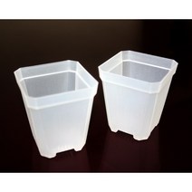 (국내발송) 투명사각화분 - 슬릿분 롱슬릿분 삽목분 플분 투명포트 10개 20개 30개 40개, 반투명 사각 (소) 10개